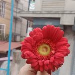 Universe is Kind Today